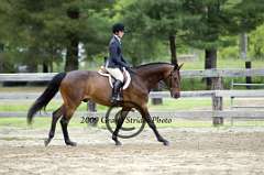 Modified Junior Equitation on the Flat